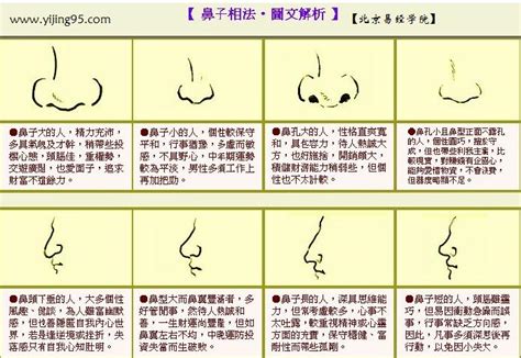 鼻子面相图解|面相入门